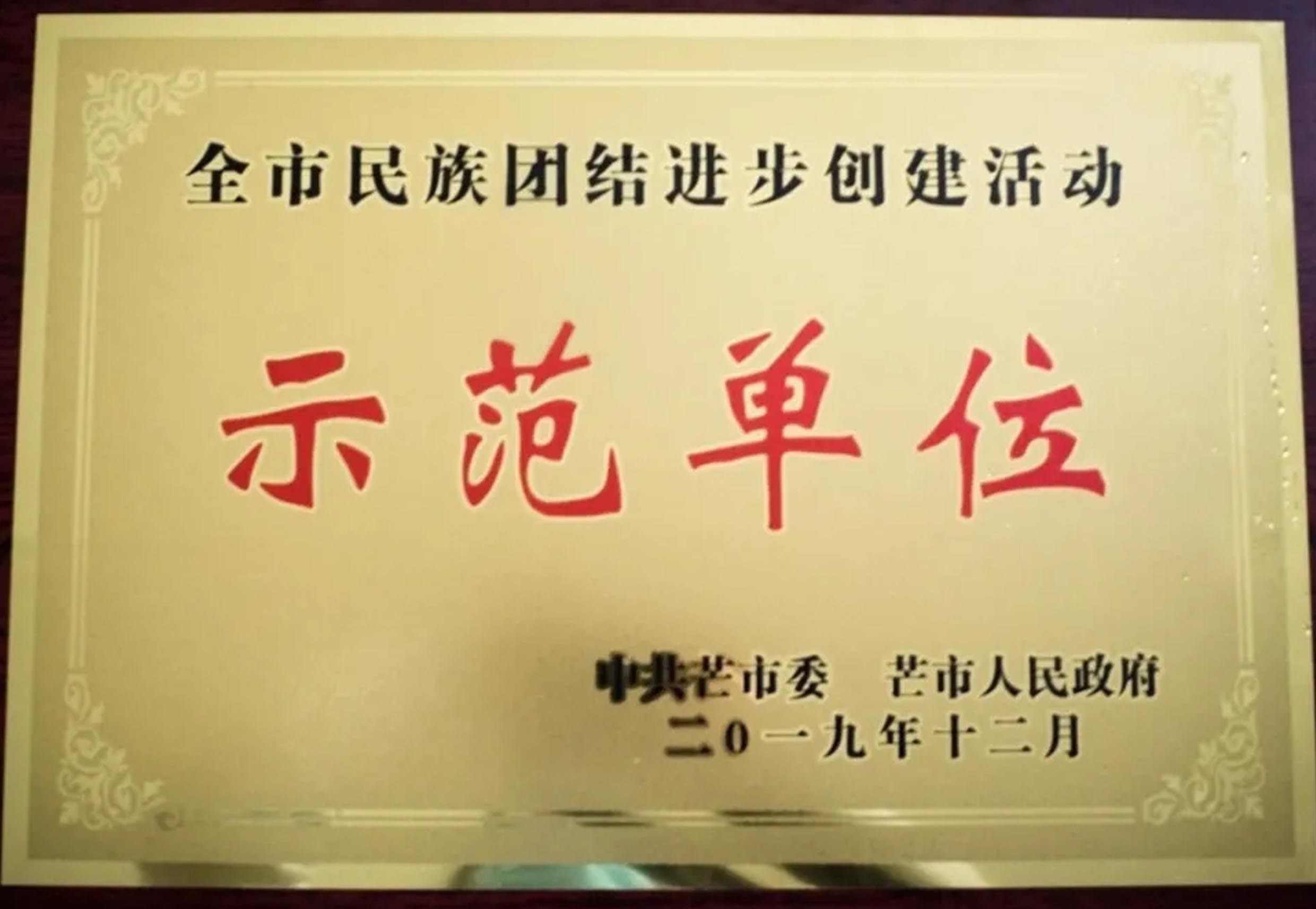 全市民族团结进步创建活动示范单位