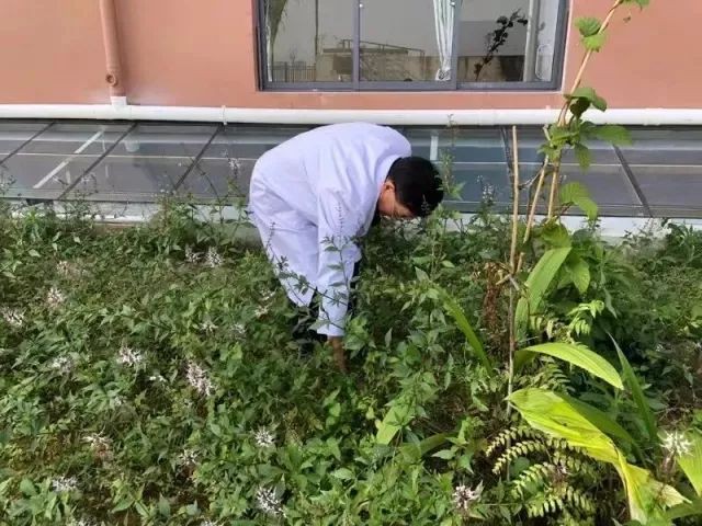 16109332684223.jpg 16109332684223.jpg